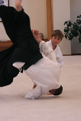 Aikido with Weapon