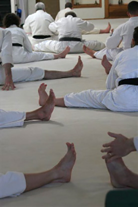 Aikido Technique
